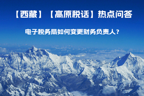 電子稅務(wù)局如何變更財(cái)務(wù)負(fù)責(zé)人？