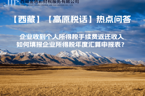 企業(yè)收到個(gè)人所得稅手續(xù)費(fèi)返還收入，如何填報(bào)企業(yè)所得稅年度匯算申報(bào)表？