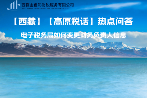 西藏電子稅務(wù)局如何變更財(cái)務(wù)負(fù)責(zé)人信息？